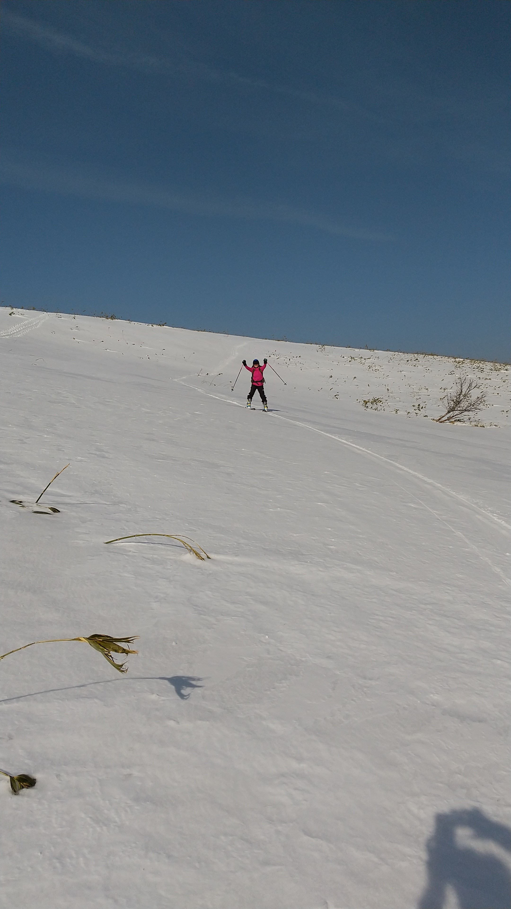 24-DSC_0040.jpg